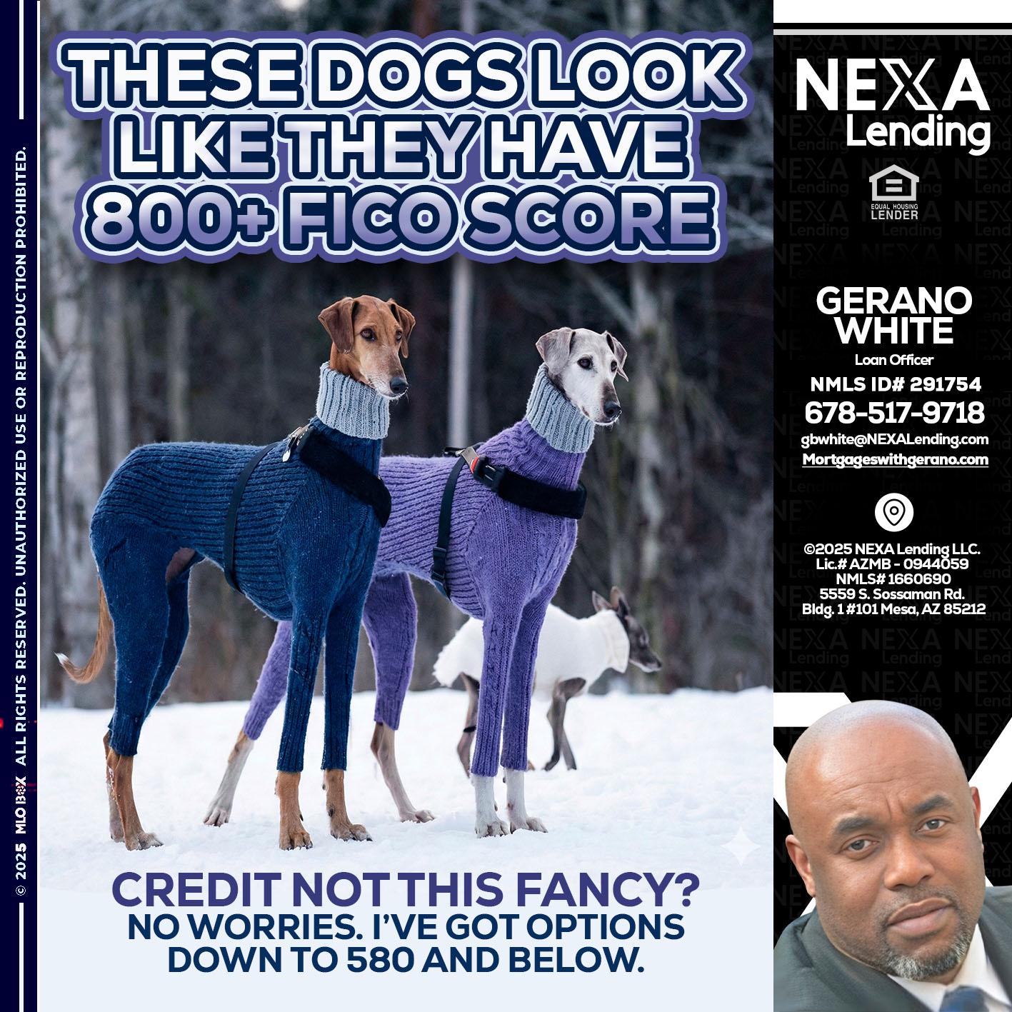 THESE DOGS LOOK - Gerano White -Loan Officer
